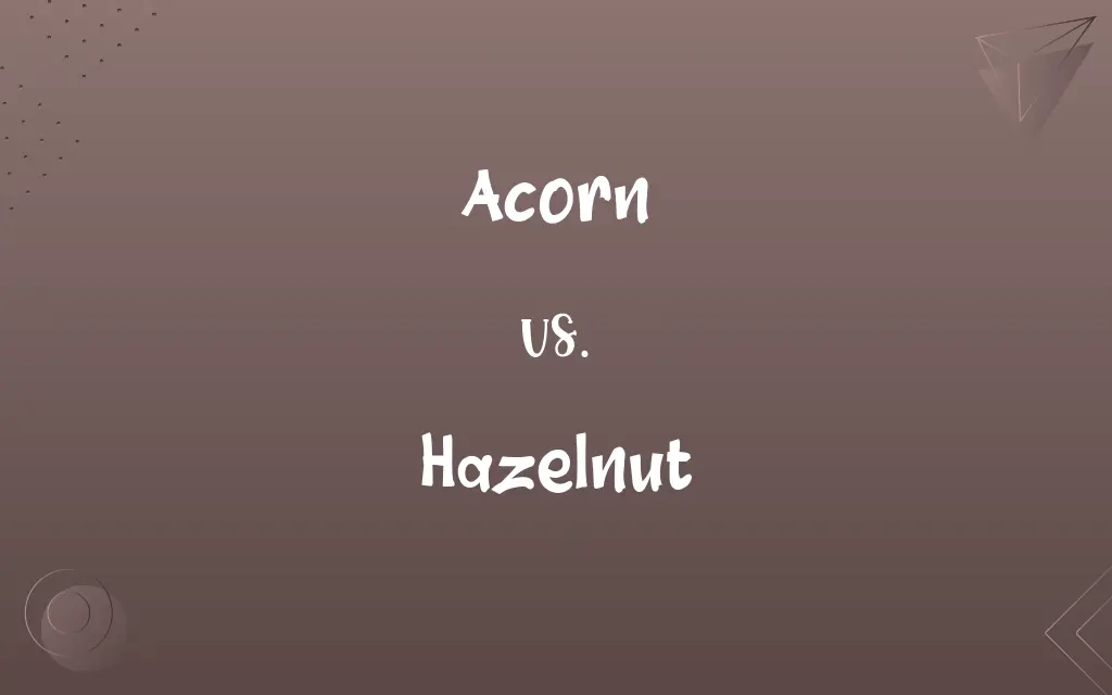 Acorn vs. Hazelnut