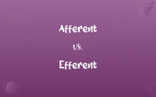 Afferent vs. Efferent