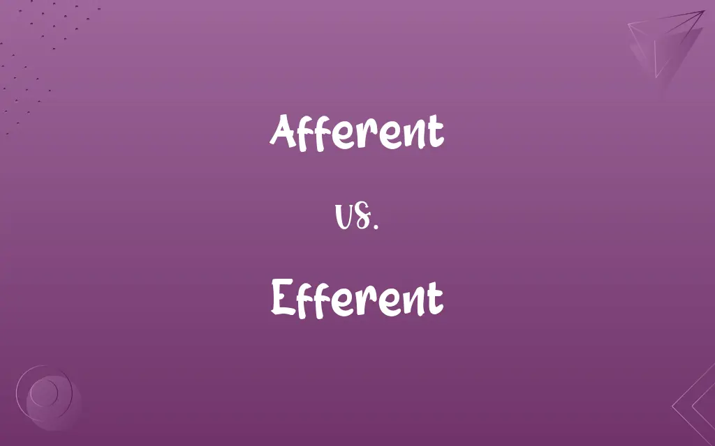 Afferent vs. Efferent