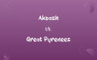 Akbash vs. Great Pyrenees