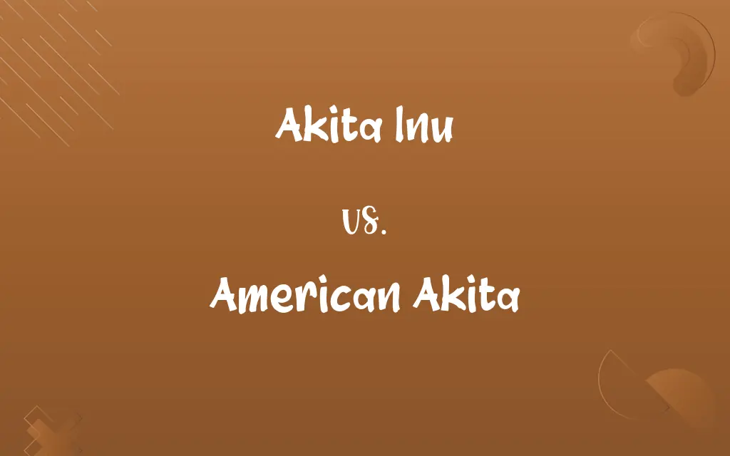 Akita Inu vs. American Akita