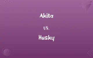 Akita vs. Husky