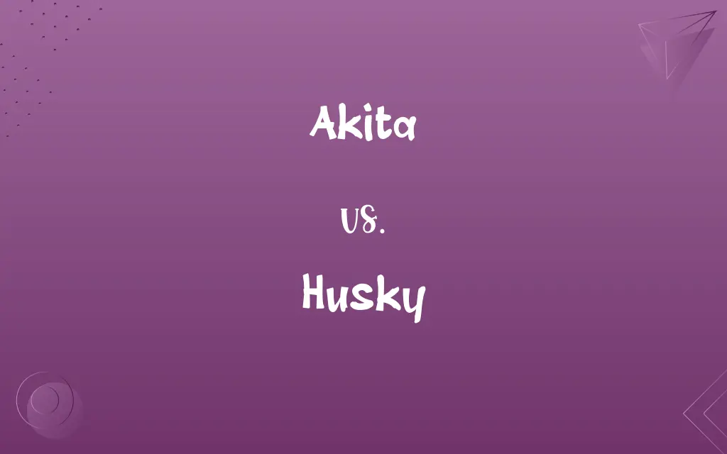 Akita vs. Husky