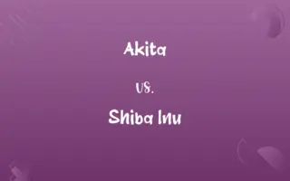 Akita vs. Shiba Inu