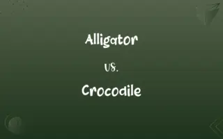 Alligator vs. Crocodile