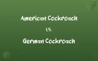 American Cockroach vs. German Cockroach