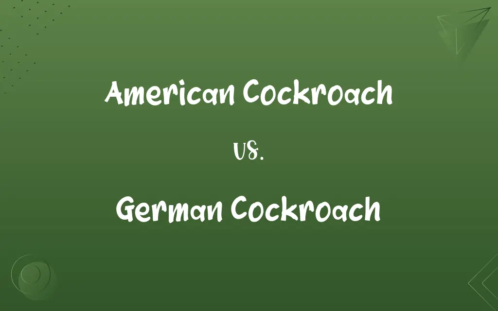 American Cockroach vs. German Cockroach