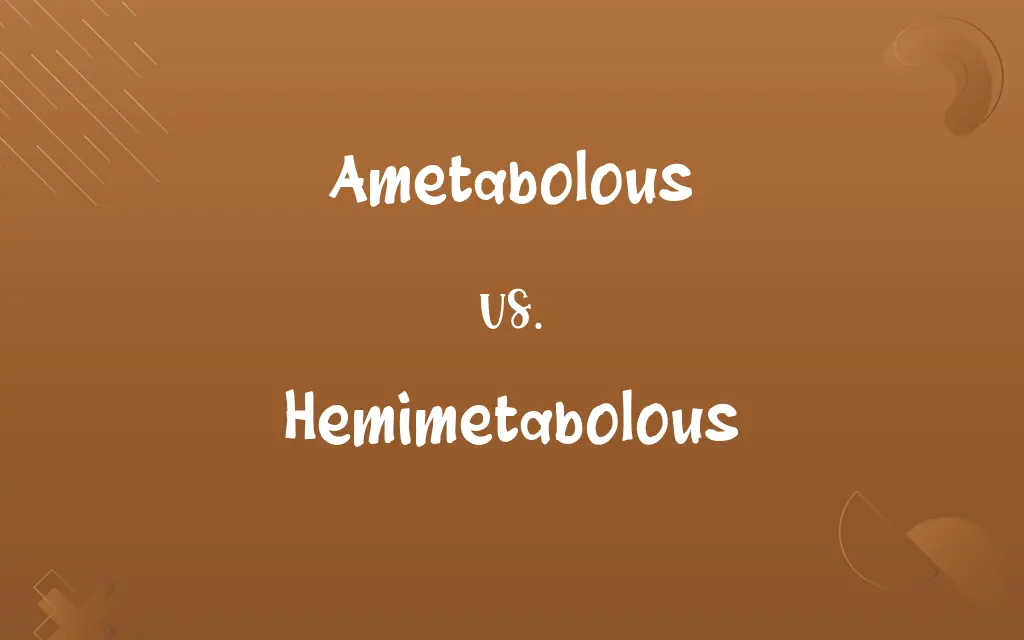 Ametabolous vs. Hemimetabolous
