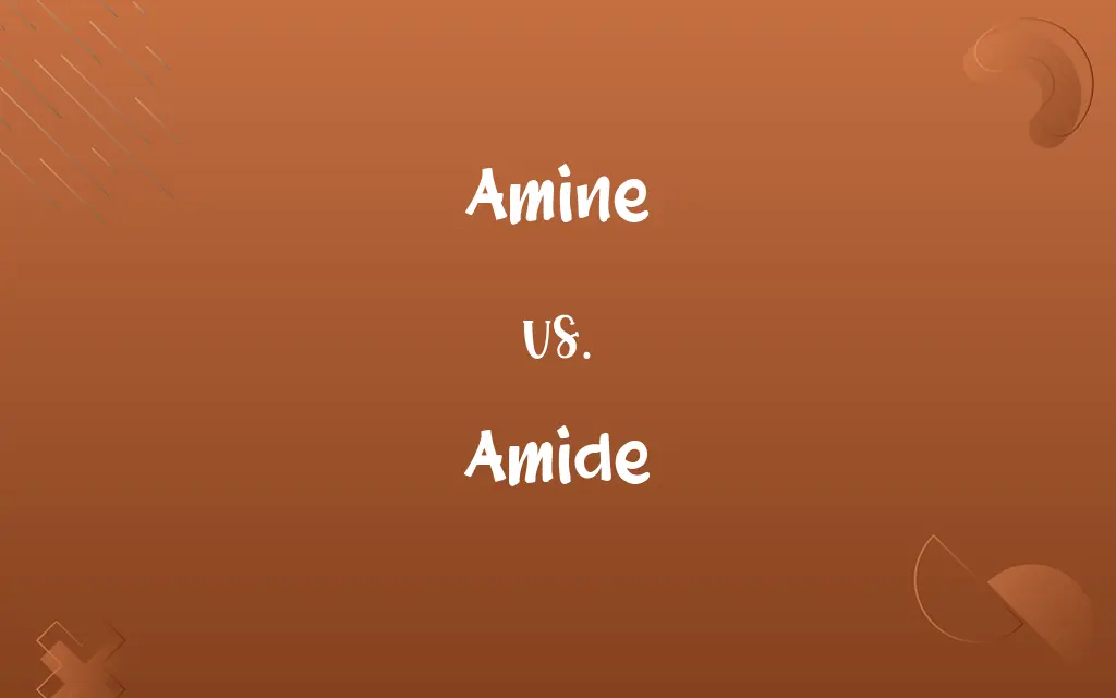Amine vs. Amide