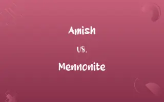 Amish vs. Mennonite