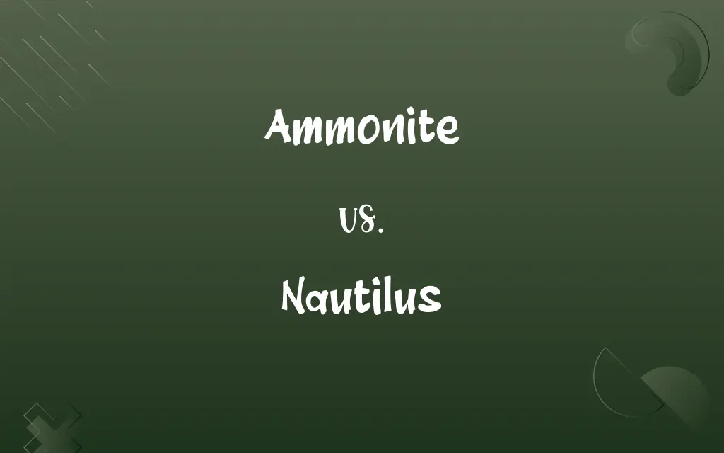 Ammonite vs. Nautilus