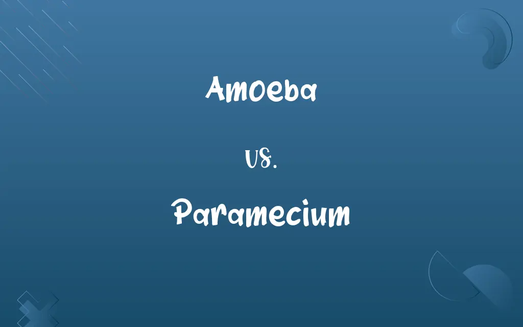 Amoeba vs. Paramecium