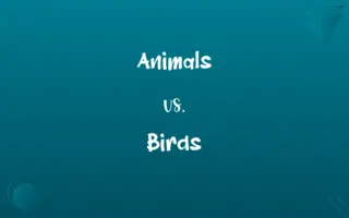 Animals vs. Birds