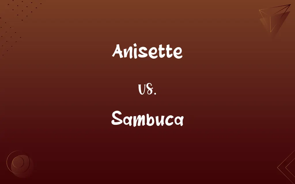 Anisette vs. Sambuca