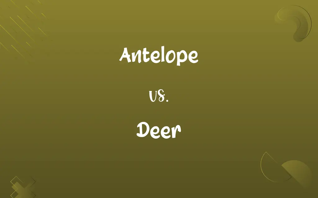 Antelope vs. Deer