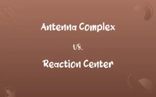 Antenna Complex vs. Reaction Center