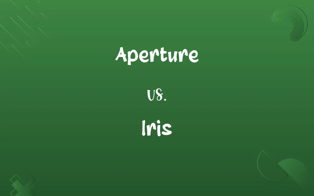 Aperture vs. Iris