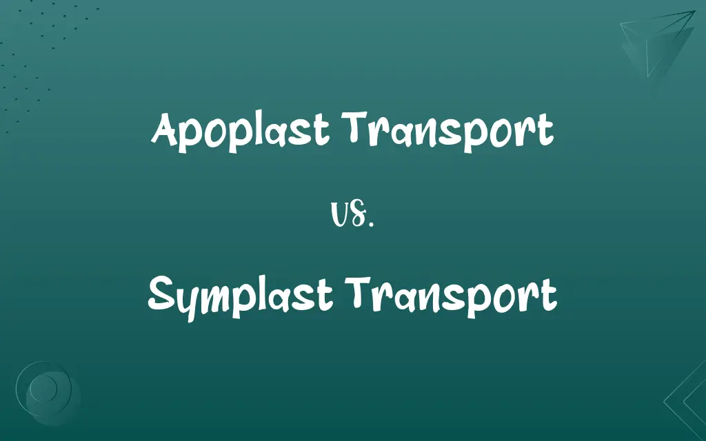 Apoplast Transport vs. Symplast Transport