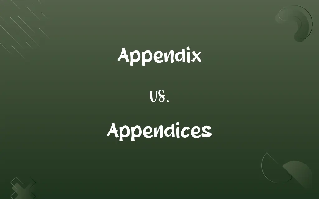 Appendix vs. Appendices