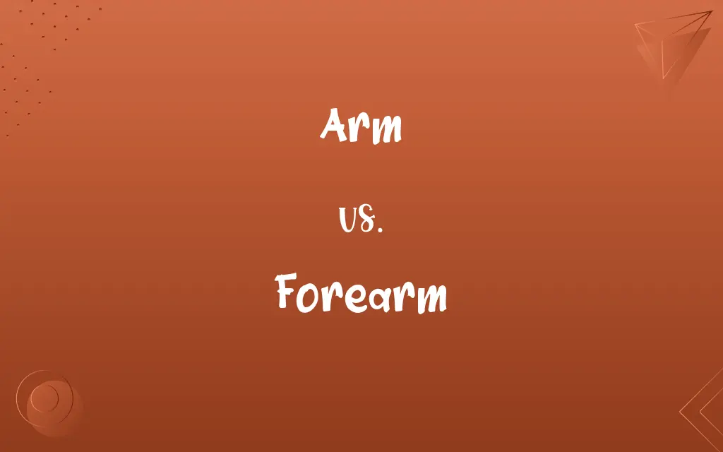 Arm vs. Forearm