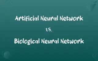 Artificial Neural Network vs. Biological Neural Network