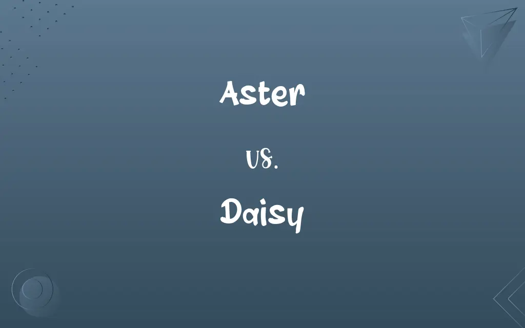 Aster vs. Daisy