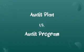 Audit Plan vs. Audit Program