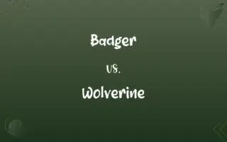 Badger vs. Wolverine