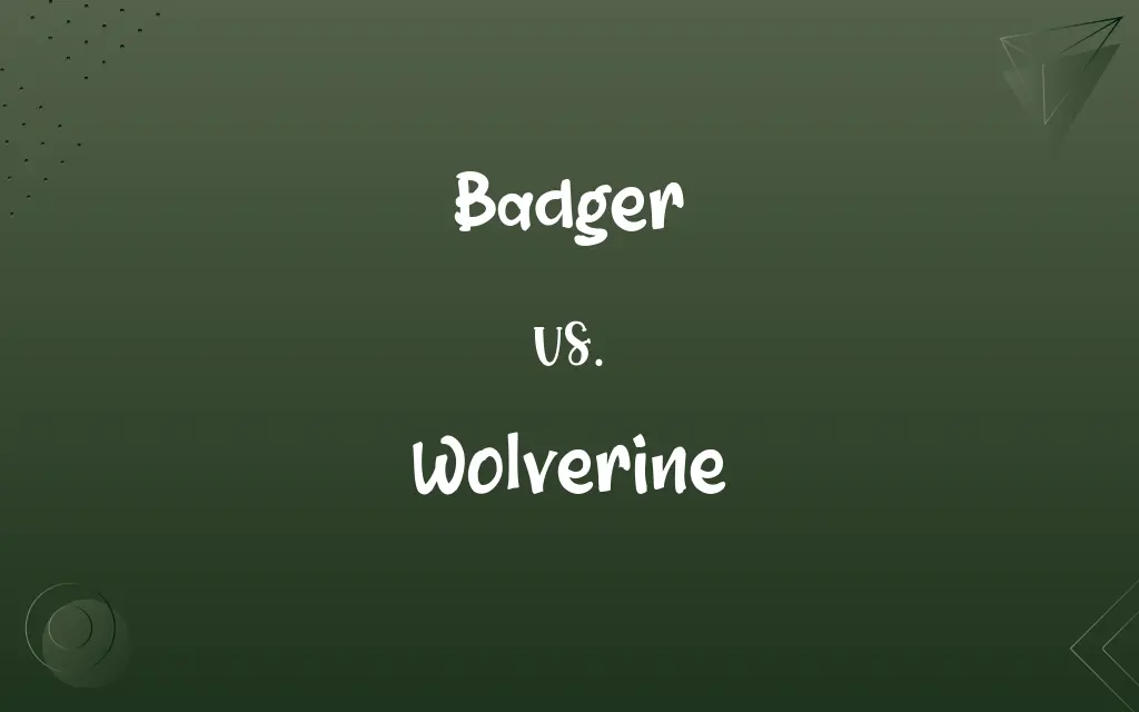 Badger vs. Wolverine