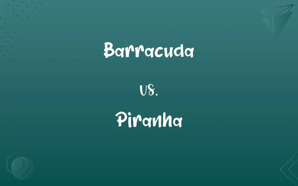 Barracuda vs. Piranha