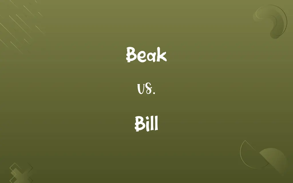 Beak vs. Bill