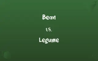 Bean vs. Legume