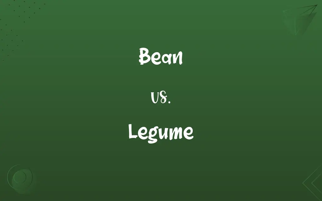 Bean vs. Legume