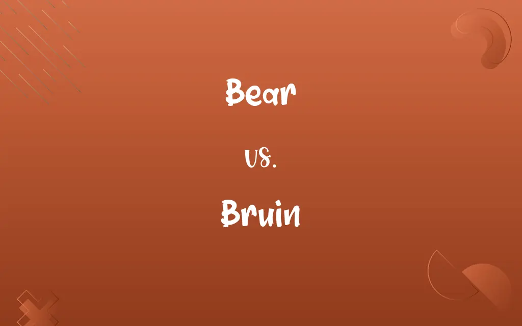 Bear vs. Bruin