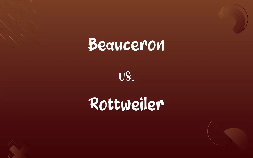 Beauceron vs. Rottweiler