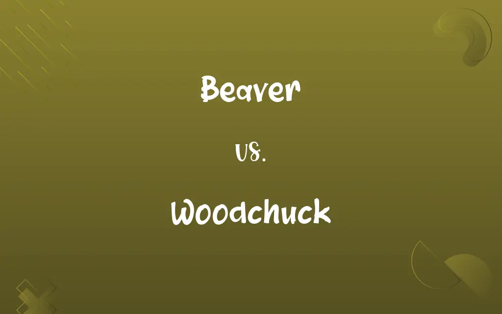 Beaver vs. Woodchuck