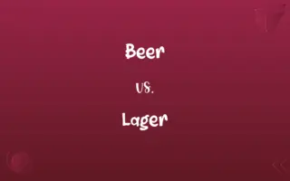 Beer vs. Lager