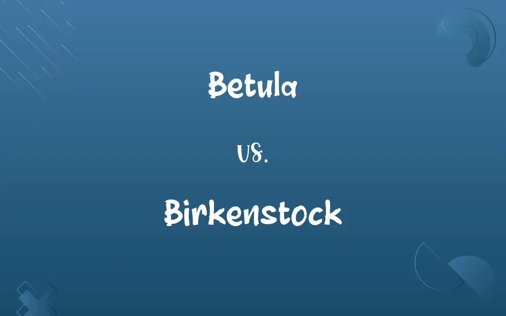 Betula vs. Birkenstock