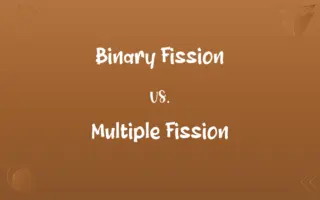 Binary Fission vs. Multiple Fission