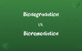 Biodegradation vs. Bioremediation