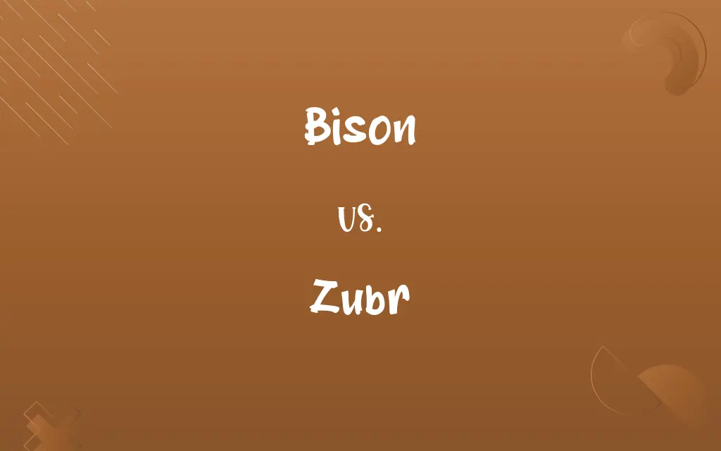 Bison vs. Zubr
