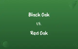 Black Oak vs. Red Oak