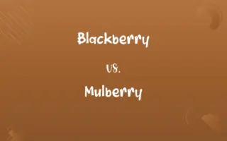 Blackberry vs. Mulberry