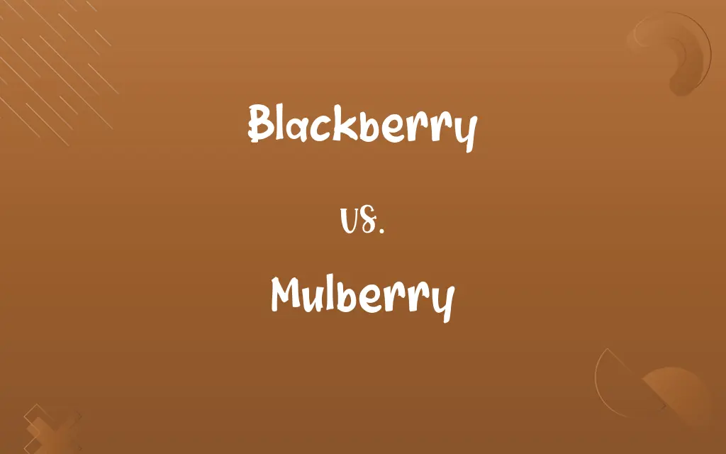 Blackberry vs. Mulberry