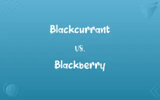 Blackcurrant vs. Blackberry