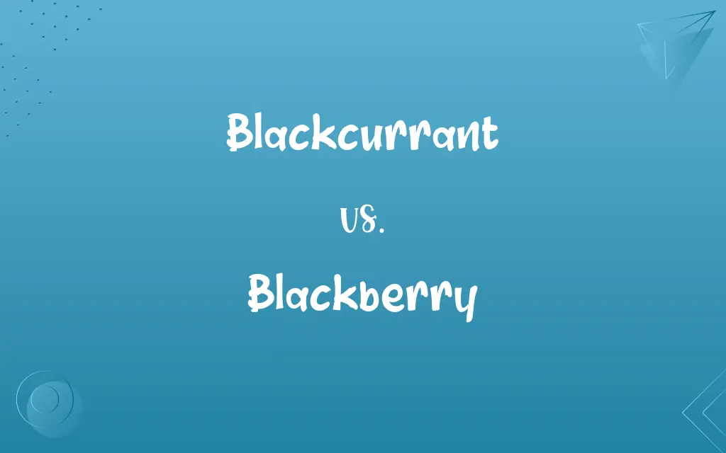 Blackcurrant vs. Blackberry