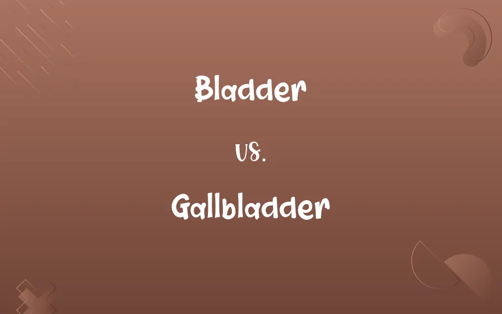 Bladder vs. Gallbladder