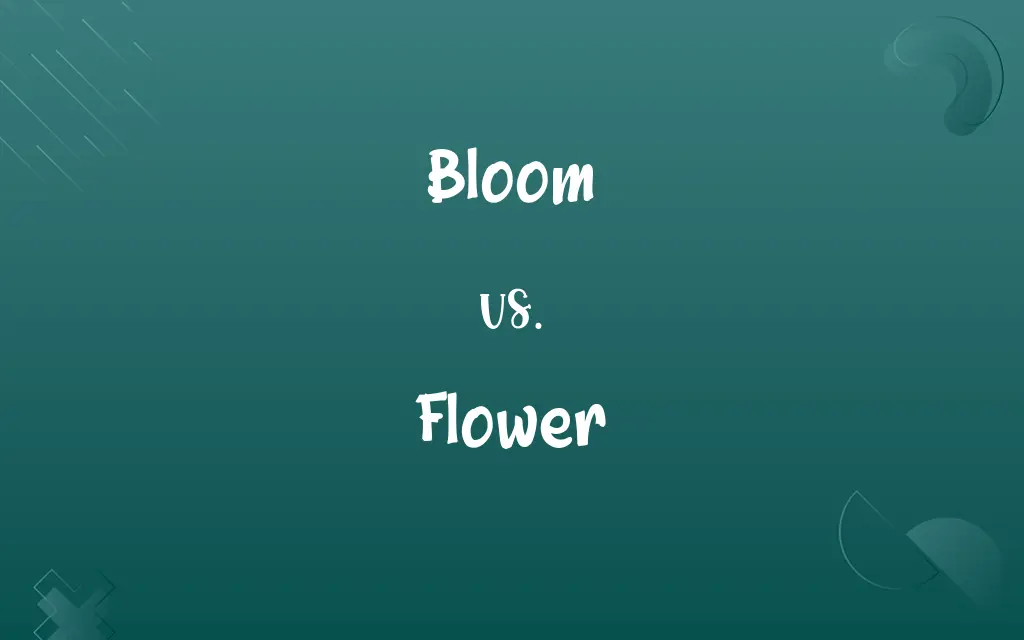 Bloom vs. Flower