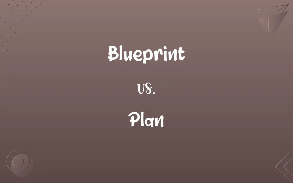 Blueprint vs. Plan