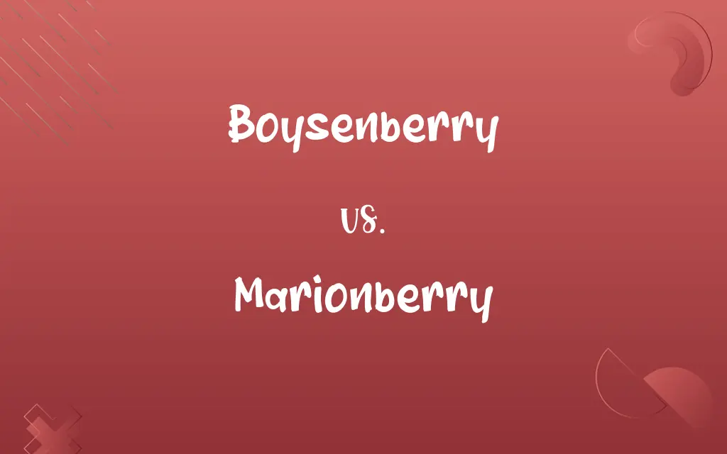 Boysenberry vs. Marionberry